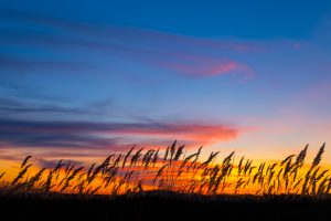 Peace Power offers great rates on utilities in Alberta